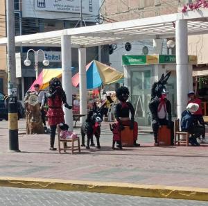 Good price! House with pool, 3 bedrooms, fully equipped