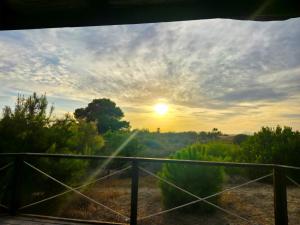 Sunny Sea La Mata Apartment