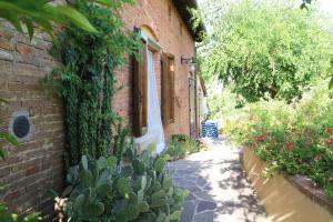 Poggio al Tesoro Crespina Pisa