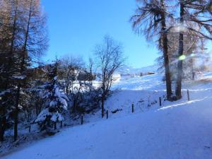 Résidence Aiguille Grive Bat Iii - Appartement 2 pièces 6 personnes en duplex, skis aux pieds, dans le village de Charmettoger à Arc 1800 MAE-1696