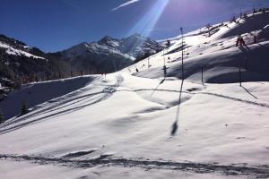 Résidence Roc De Tougne - 2 PIECES LUMINEUX SUR LES PISTES, PROCHE DES COMMERCES MAE-0486