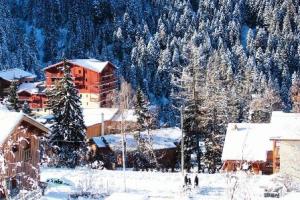 Résidence Grand Argentier - 3 pièces +cabine 810 personnes coeur station 55m² MAE-2897