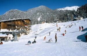 Chalet Club - Studio 23 personnes 17 m² MAE-2988