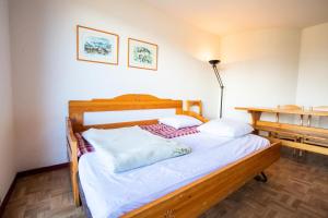 Résidence Le Cheval Blanc - LE CHEVAL BLANC - CB49 MAE-3114