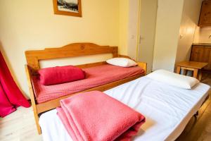 Chalets Du Thabor - CHALETS DU THABOR - CTHAA9 MAE-3196