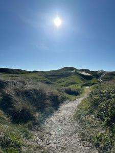 Newly renovated spa cottage 300 m from the North Sea