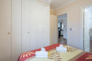Met Oliva apartamento con piscina