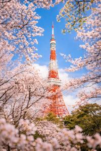 井上達也設計現代風旅館 京成線駅1分 都心移動便利 近北千住上野浅草銀座スカイツリー Wifi長期可 WAGAMAMA千住S03室