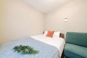 Shibuya Brown Hotel 102
