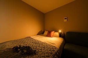 Shibuya Brown Hotel 102