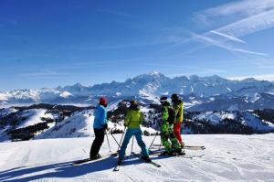 Résidence Le Champ De La Caille - Charmant chalet typique avec de superbes vues montagnes MAE-3254