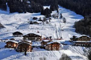 Les Chalets Des Evettes - Appartement dans une résidence avec piscine au pied des pistes MAE-3264