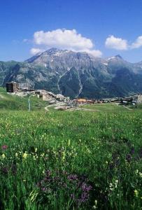 Résidence Rond-point-pistes I - Deux pièces 8 pers ROND POINT DES PISTES 1 - n° 101 A MAE-7244