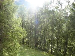 Résidence La Chamoisiere - Appartement spacieux, idéal pour une famille. MAE-0484