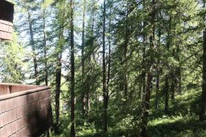 Résidence Le Perescuelle - Résidence au calme, environnement préservé dans la foret MAE-0624