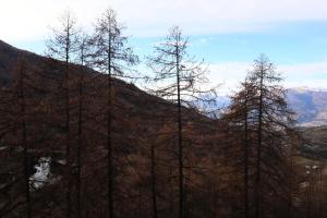 Résidence Lhorizon - 309 HORIZON LES ORRES 1650 MAE-8454