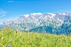 Résidence Les Loges - Loges 11 MAE-4364