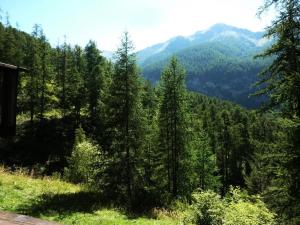 Résidence Les Flocons - STUDIO N°102 FLOCONS MAE-3674