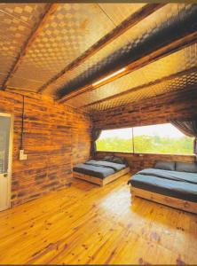 Homestay thông house 2