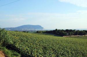 Sea Lovers Italy Apartment