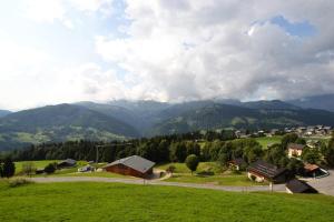 Résidence La Sapiniere - Appartement 5 personnes proche des pistes de lEspace Diamant MAE-7454