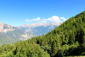 Résidence Valgardena - VG702 - APPT 34 PERSONNES - VUE PISTES MAE-8574