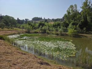 Agriturismo Ai Massi