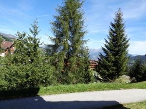 Résidence Teppes - Les Teppes 38 - 2 pièces, terrasse offrant une superbe vue MAE-4834
