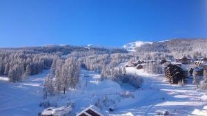 Résidence Serac - SER201 - APPARTEMENT 4 PERSONNES, SECTEUR 1700M MAE-9164