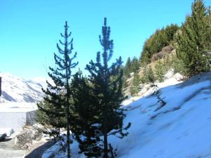 Résidence Gentianes.men - Studio 4 personnes aux Ménuires MAE-5334