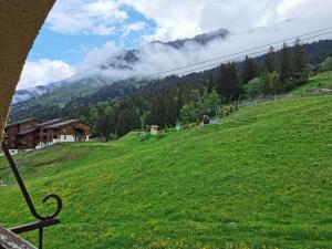 Résidence Lauzes - Les Lauzes 48 - Joli 2 pièces, vue pistes, classé 3 étoiles MAE-4944