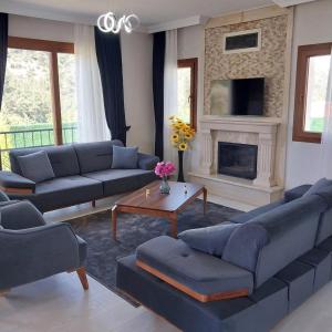 Villa Erce Elegant Family Villa with Pool Akyaka