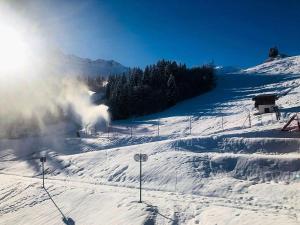 Résidence Riondet - Le Riondet 36 - Agréable 2 pièces lumineux avec superbe vue. MAE-6921