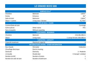 Résidence Grand Bois A - CONFORTABLE 2 PIECES, SKIS AUX PIEDS ET PROCHE DES COMMERCES MAE-2044