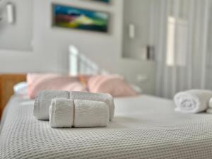 Burgos Señorial by Catedral Camino Suites