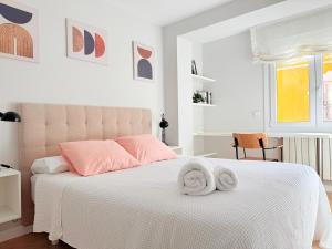 Burgos Señorial by Catedral Camino Suites