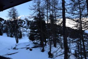 Chalet Boulevard - Chalet Boulevard -8 pers - PLAGNE CENTRE, sur les pistes - wifi - CTBOU MAE-6814