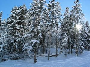 Résidence Pre De Camille - Spacieux appartement avec balcon, terrasse et garage proche du centre de Barèges MAE-8664