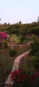 Kanyawegi Dala Resoert