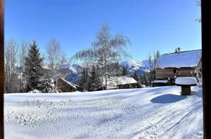 Chalet Les Airelles - APPARTEMENT DANS CHALET AVEC GARAGE MAE-9054