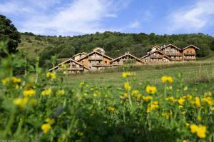 Les Chalets Du Gypse - LES CHALETS DU GYPSE C12 MAE-3811