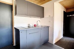 Résidence Les Lauzes - Appartement rénové · Départ et retour ski aux pieds MAE-0454