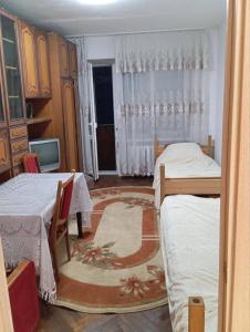 Lavender Studio Lviv