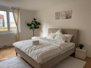 Apartment 1BR, Train Station, Central, Modern