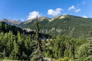 Résidence Le Belvedere - Studio coin nuit au coeur des Orres 1650 MAE-6404