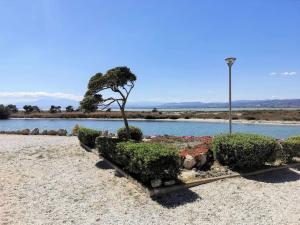 Résidence Hawai 1 - VILLA T1 CAB MEZZ 5 couchages PORT LEUCATE MAE-6964