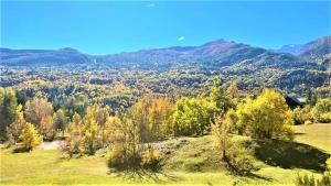 Résidence Les Cytises - Agréable Studio de montagne 4 pers MAE-2764