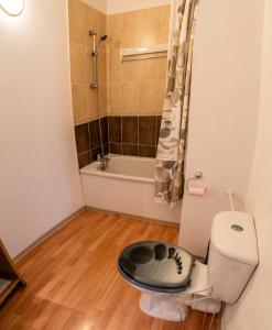 Résidence Les Terrasses Du Soleil Dor - Agréable duplex avec vue sur les pistes MAE-4534