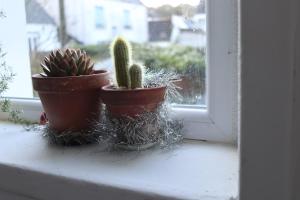 Apartment with enclosed garden, 2 bedrooms, 60 m2, everything within walking distance