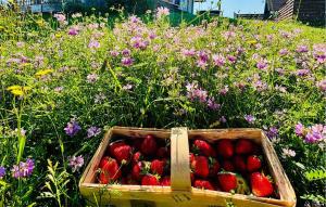 Lovely Home In Stare Czaple With Sauna